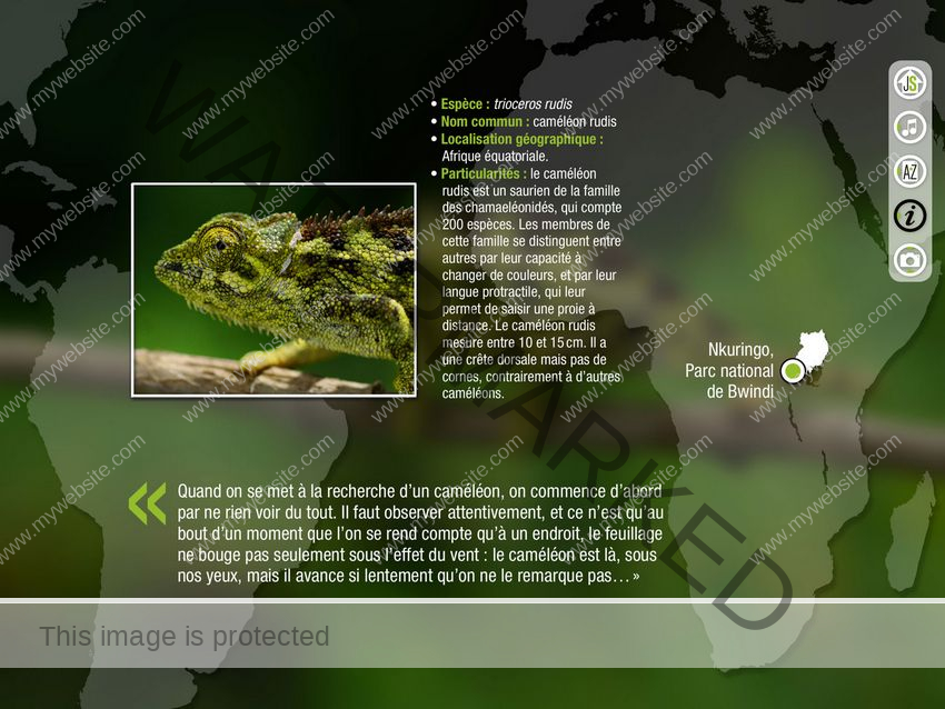 Forest Spirit: Call of bush